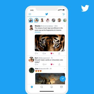 Namaste, Fleets! Twitter launches a new way to have conversations in India
