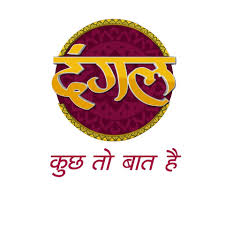 Dangal TV’s 4 fiction shows go 7 days a week on popular demand