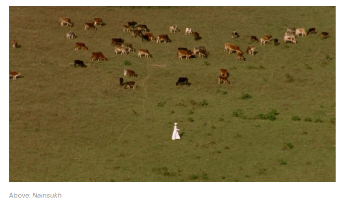 Wait, Look: Amit Dutta’s Cinematic Rhythm