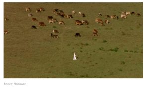 Wait, Look: Amit Dutta’s Cinematic Rhythm