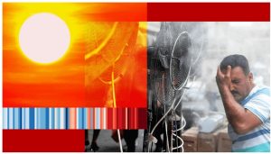 Life at 50°C: New study from BBC reveals that extremely hot days have doubled in past 40 years