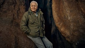 BBC Earth Announces Brand New Series The Green Planet with Sir David Attenborough