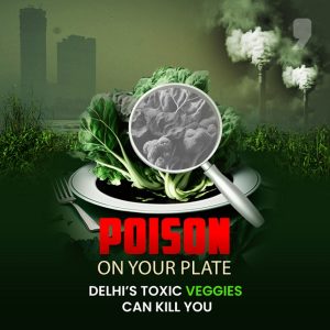 News9 Plus special investigation reveals shockingly high lead contamination in vegetables from Yamuna Floodplains