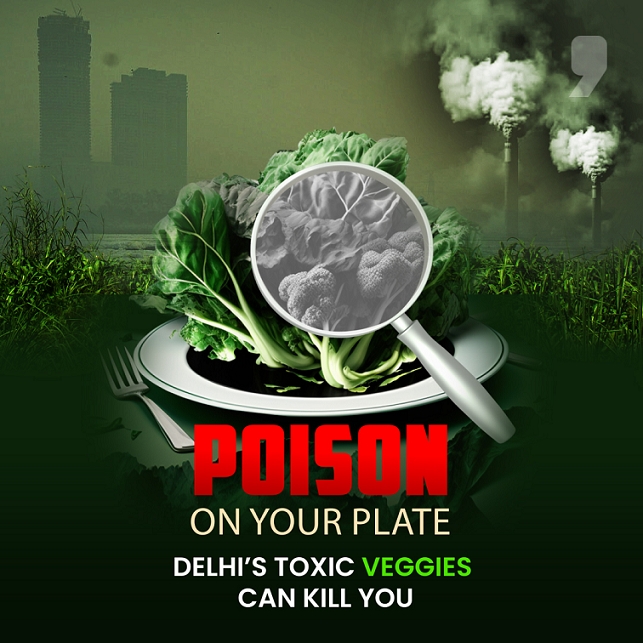 News9 Plus special investigation reveals shockingly high lead contamination in vegetables from Yamuna Floodplains