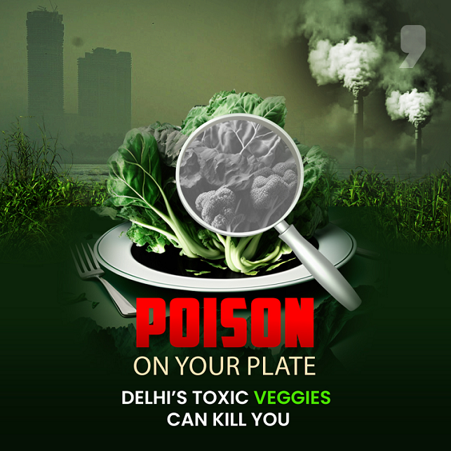 News9 Plus special investigation reveals shockingly high lead contamination in vegetables from Yamuna Floodplains