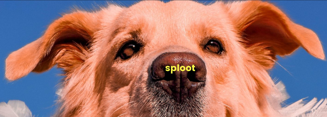 sploot raises $800,000 of seed funding through Info Edge, Syndicate, and other VCs/investors