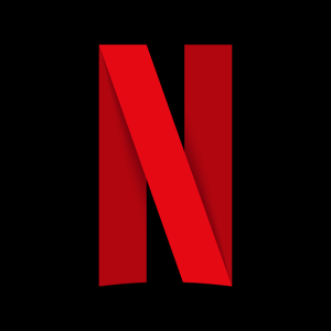 Netflix Elevates Safety and Skills for Stunt Community in India