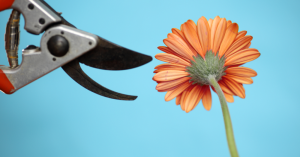 The Best Leaders Show Vulnerability — But Does That Advice Work for Women?