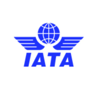 Air Travel Reaches 99% of 2019 Levels as Recovery Continues in November