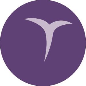 Digital Identity App Installations to Reach 5.2bn Globally by 2029