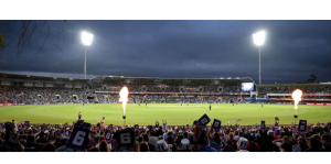 Bowling Over Cricket Fans: Effective Marketing Strategies for Brands