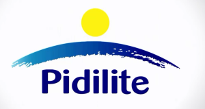 JioStar Delivers a Breakthrough TV Moment with Pidilite’s ‘Pause & Play’ Innovation During the World TV Premiere of Pushpa 2