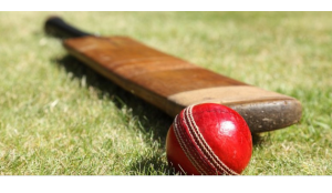 Cricket Returns, Viewers Don’t: The Impact of IPL’s Interrupted Momentum