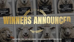 NYF Advertising Awards Announces 2026 Winners